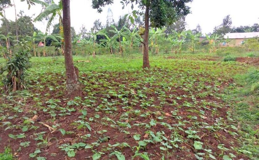 rwamagana land plut properties (8)