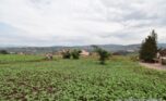kibagabaga plot sale plut properties (1)