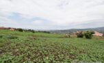kibagabaga plot sale plut properties (2)
