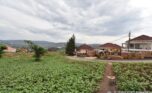 kibagabaga plot sale plut properties (6)