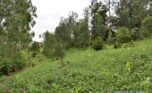 kimironko sale plut properties (10)