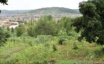 kimironko sale plut properties (4)