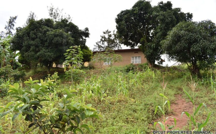 kimironko sale plut properties (8)