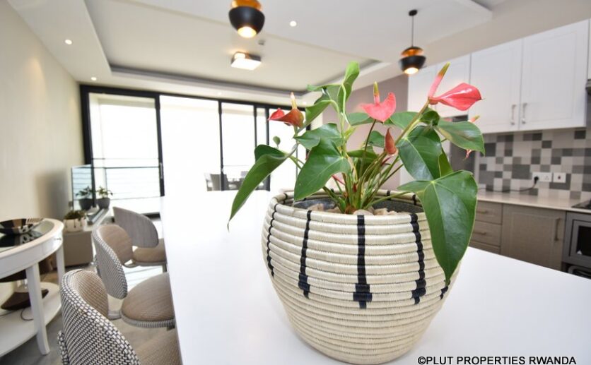 rebero rent plut properties (13)