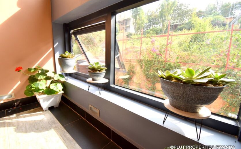 rebero rent plut properties (16)