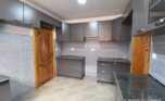 remera rental plut properties 1800 (10)