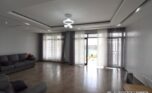 remera rental plut properties 1800 (8)