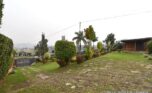 rent in gishushu plut properties (4)