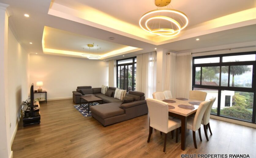 mayfair rent plut properties (9)
