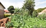 kabeza plot for sale (4)