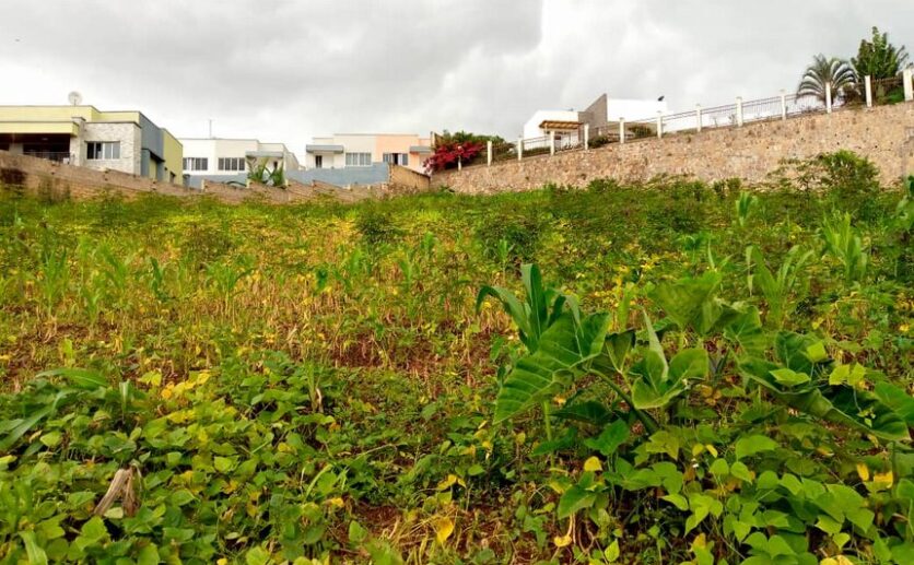 Land in Kigali (1)
