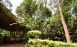 kabeza rental kigali plut properties (12)