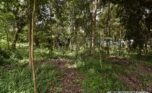 kabeza rental kigali plut properties (13)