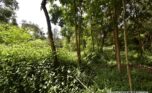 kabeza rental kigali plut properties (14)