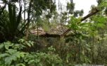 kabeza rental kigali plut properties (15)