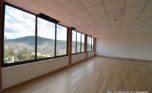 office cbd plut (2)