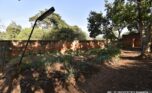 kiyovu rental plut properties house (6)