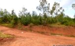 rebero land for sale plut properties (3)