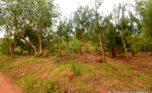 rebero land for sale plut properties (4)