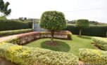 kagugu umucyo estate (1)