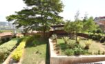 kacyiru house for rent plut properties (6)