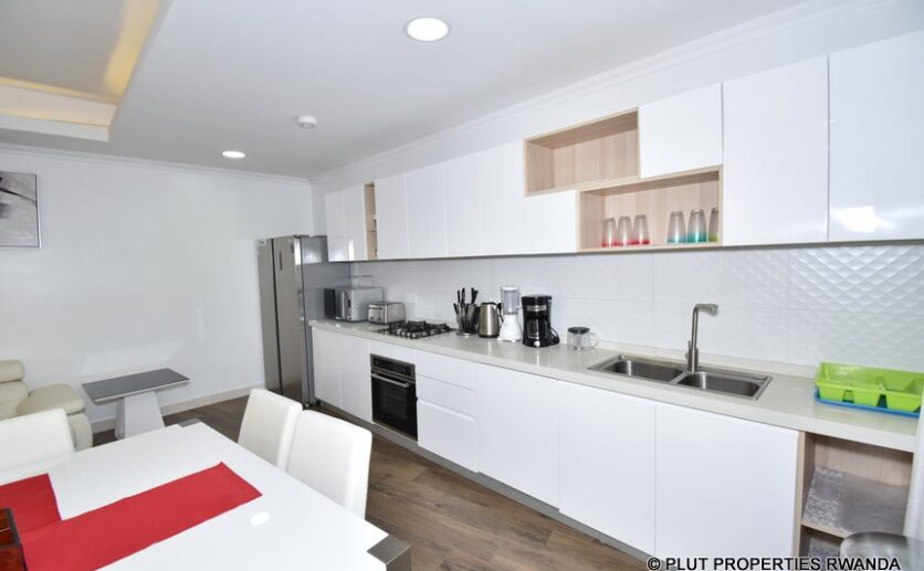 mayfair apartment for rent plut properties (12)