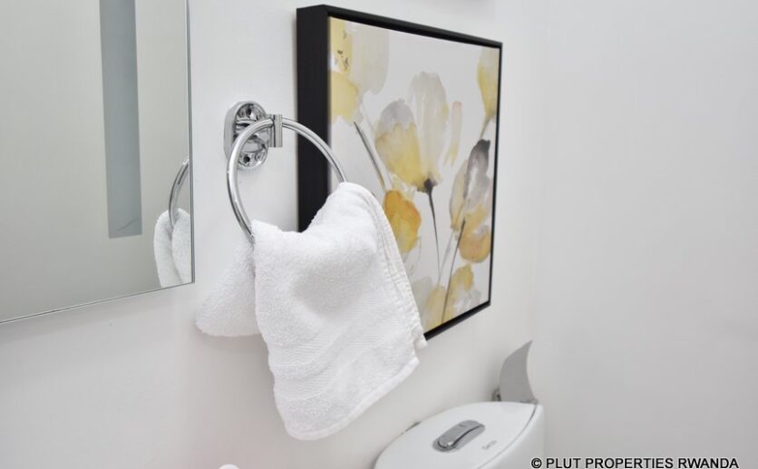 mayfair apartment for rent plut properties (5)