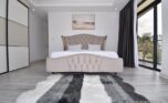 penthouse for rent plut properties (28)
