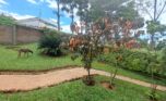 industrial land for sale in kigali plut property (2)