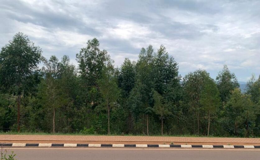 land for sale in kinyinya (1)