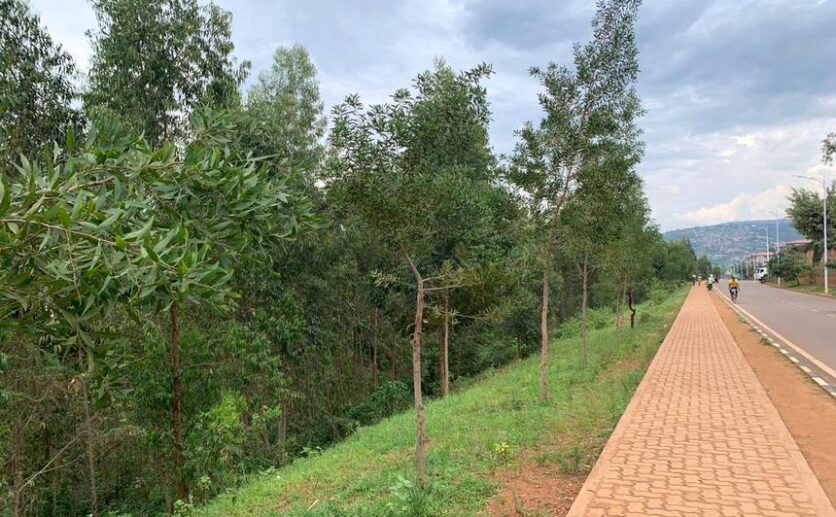 land for sale in kinyinya (2)