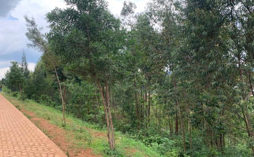 land for sale in kinyinya (3)
