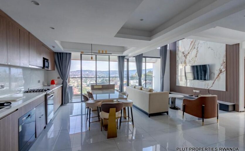 penthouse for rent in Gishushu plut properties (2)