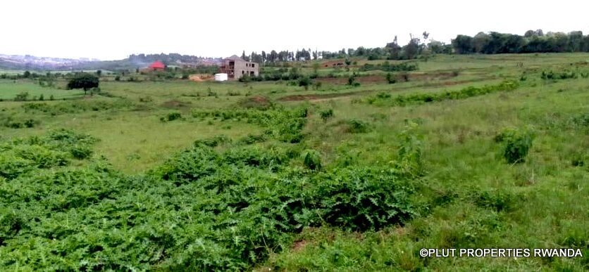 plot for sale in busanza fpr 12M (1)