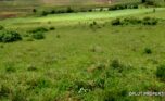 plot for sale in busanza fpr 12M (2)