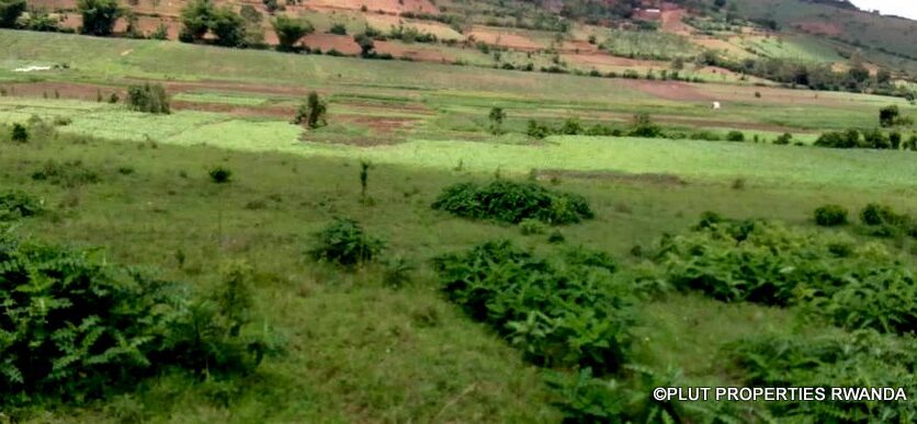 plot for sale in busanza fpr 12M (4)