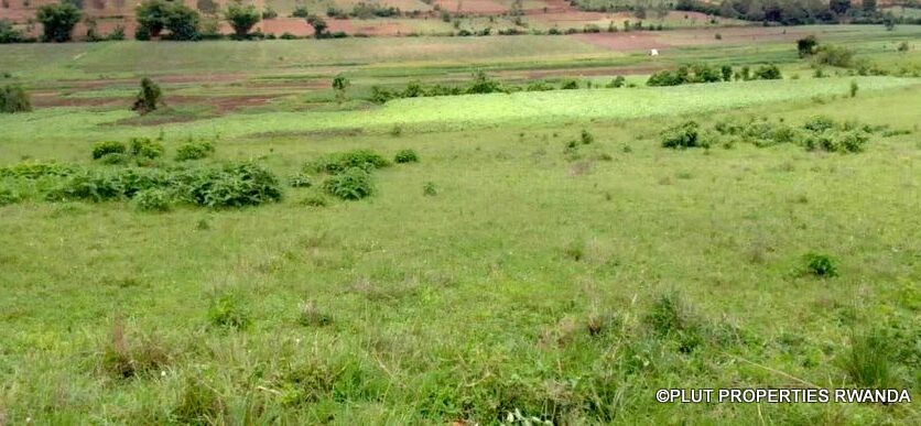 plot for sale in busanza fpr 12M (5)