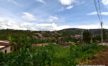 plot for sale in nyamirambo (10)