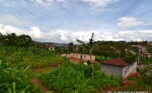 plot for sale in nyamirambo (7)