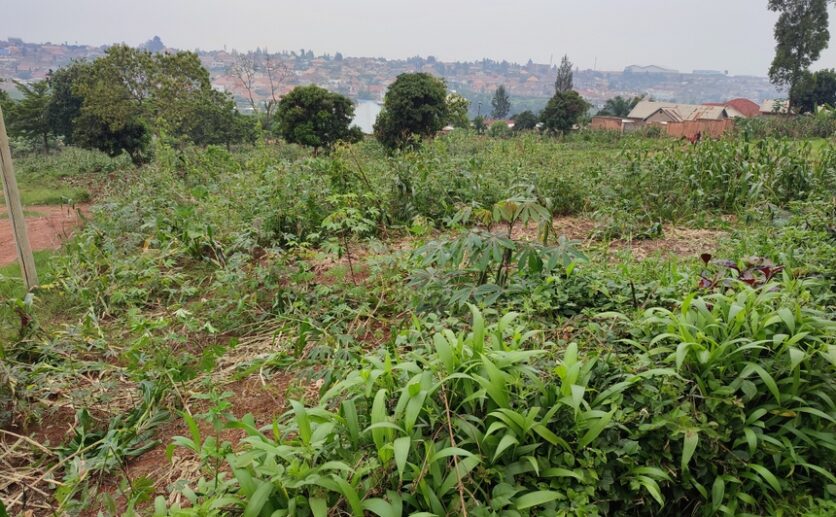 PLOT FOR SALE IN BUSANZA KANOMBE (3)