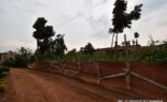buy land in Gisozi (3)