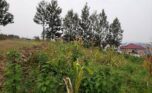buy land in Kibagabaga (7)