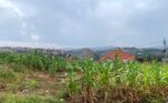 land for sale in kinyinya (1)