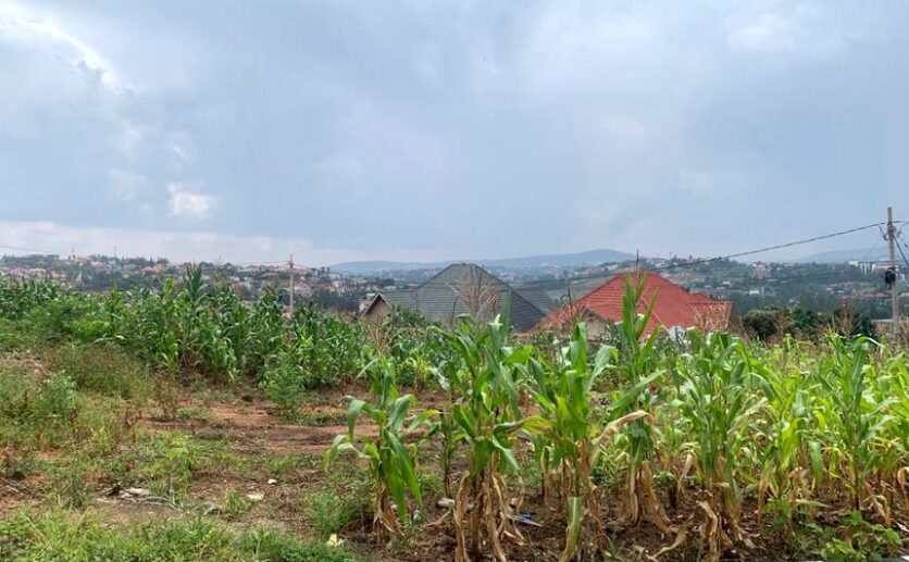 land for sale in kinyinya (1)