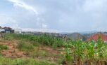 land for sale in kinyinya (2)