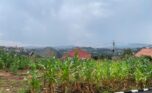 land for sale in kinyinya (3)