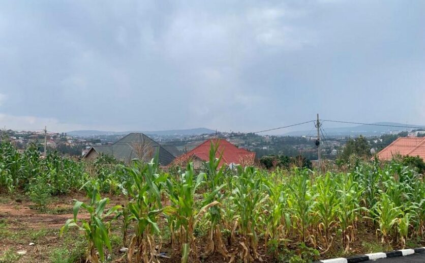 land for sale in kinyinya (3)