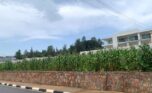 land for sale in kinyinya (6)