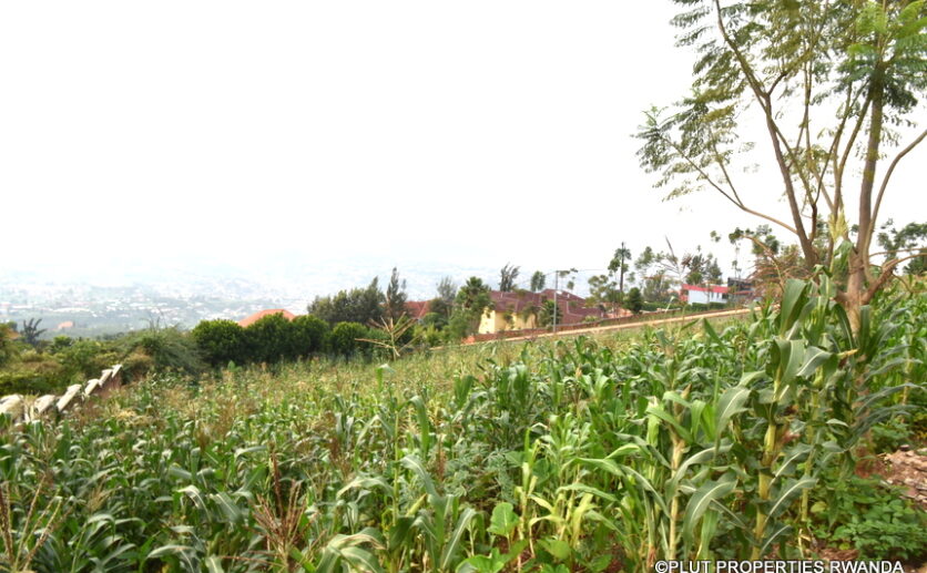 plot for sale in rebero (10)