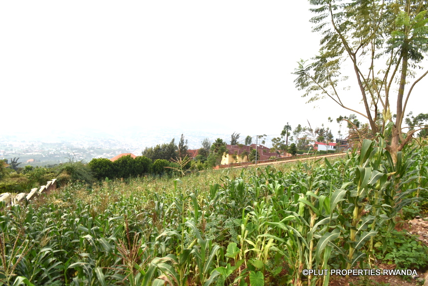 Plot for sale in Rebero.